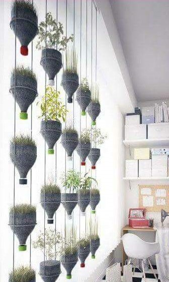 14877780_10209761748954900_1707887330_n